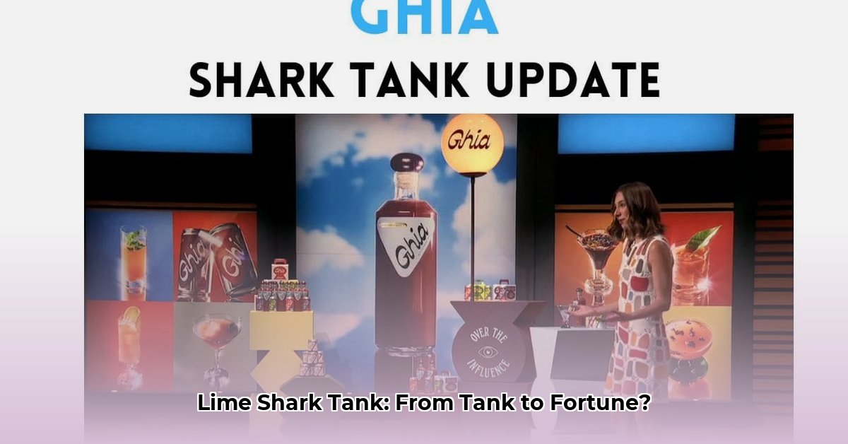 lime-shark-tank-net-worth